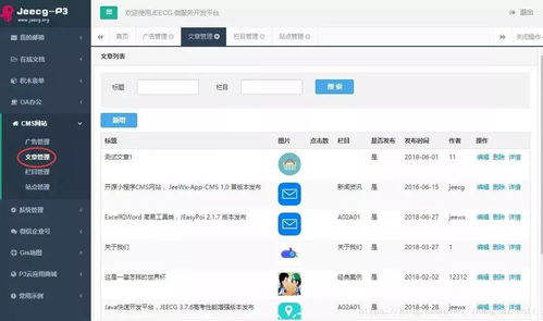 Jeecg首個(gè)開(kāi)源插件CMS網(wǎng)站插件1.0正式發(fā)布
